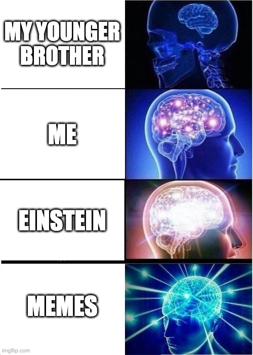 Expanding Brain | MY YOUNGER BROTHER; ME; EINSTEIN; MEMES | image tagged in memes,expanding brain | made w/ Imgflip meme maker