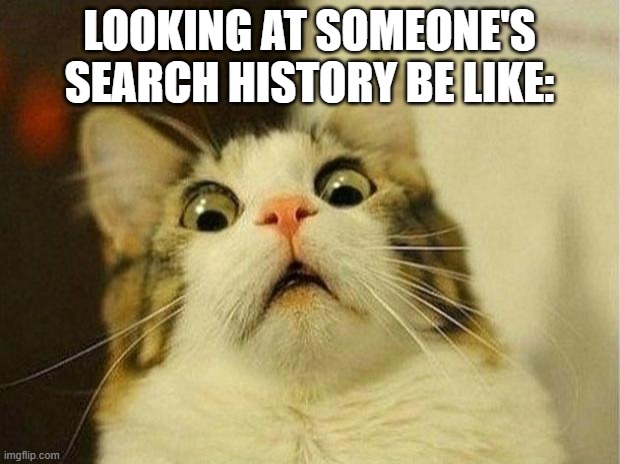 grabs big unsee juice* | LOOKING AT SOMEONE'S SEARCH HISTORY BE LIKE: | image tagged in memes,scared cat | made w/ Imgflip meme maker