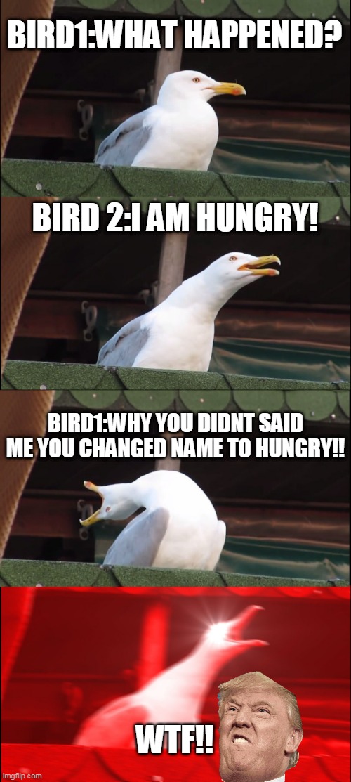 BIRD CONVERSATION LOL BY AAZIM | BIRD1:WHAT HAPPENED? BIRD 2:I AM HUNGRY! BIRD1:WHY YOU DIDNT SAID ME YOU CHANGED NAME TO HUNGRY!! WTF!! | image tagged in memes,inhaling seagull | made w/ Imgflip meme maker