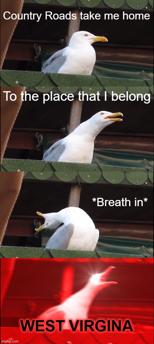 Country Roads | Country Roads take me home; To the place that I belong; *Breath in*; WEST VIRGINA | image tagged in memes,inhaling seagull | made w/ Imgflip meme maker