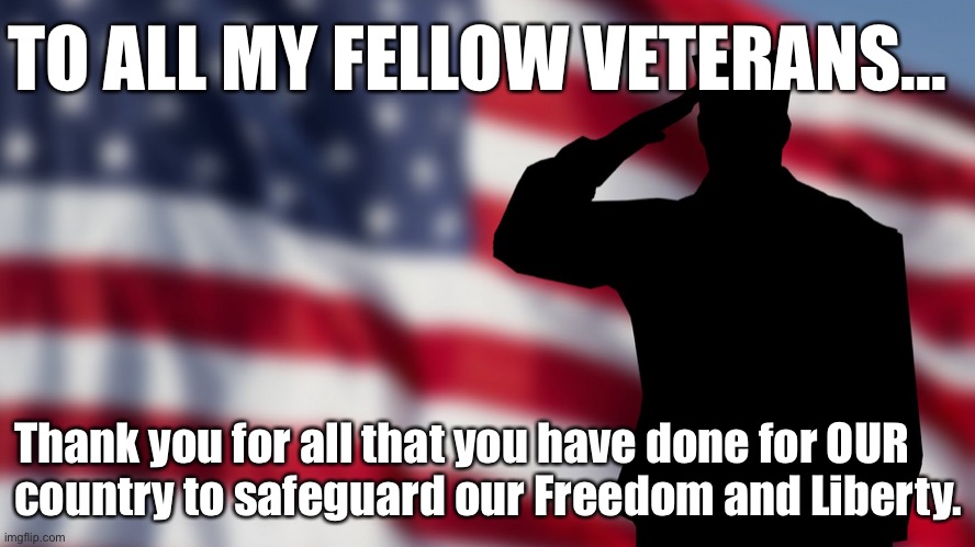 Veterans Day | TO ALL MY FELLOW VETERANS... Thank you for all that you have done for OUR
country to safeguard our Freedom and Liberty. | image tagged in veterans day,veterans | made w/ Imgflip meme maker