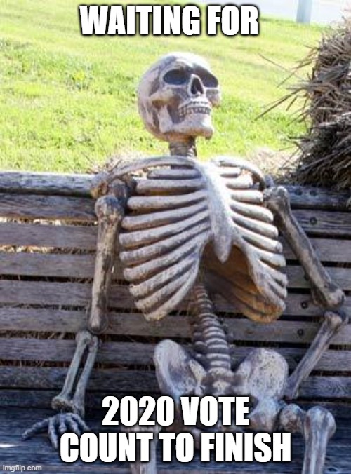 Waiting Skeleton Meme | WAITING FOR; 2020 VOTE COUNT TO FINISH | image tagged in memes,waiting skeleton | made w/ Imgflip meme maker