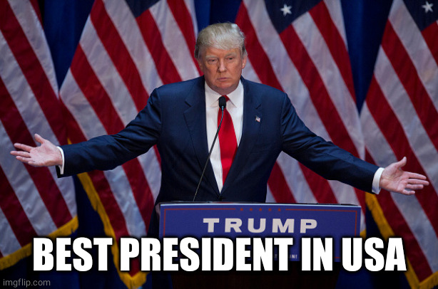Donald Trump | BEST PRESIDENT IN USA | image tagged in donald trump | made w/ Imgflip meme maker
