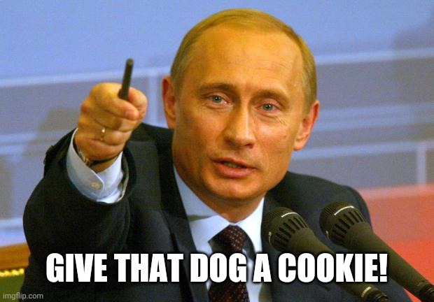 Good Guy Putin Meme | GIVE THAT DOG A COOKIE! | image tagged in memes,good guy putin | made w/ Imgflip meme maker