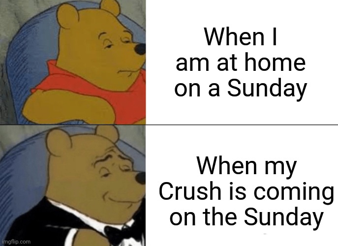 Crush | When I am at home on a Sunday; When my Crush is coming on the Sunday | image tagged in memes,tuxedo winnie the pooh | made w/ Imgflip meme maker