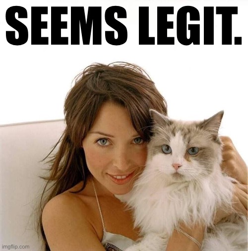 When the new legal strategy is impersonating a cat. | SEEMS LEGIT. | image tagged in dannii cat | made w/ Imgflip meme maker