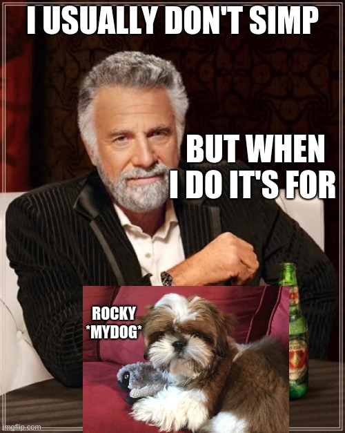 The Most Interesting Man In The World | I USUALLY DON'T SIMP; BUT WHEN I DO IT'S FOR; ROCKY
*MYDOG* | image tagged in memes,the most interesting man in the world | made w/ Imgflip meme maker