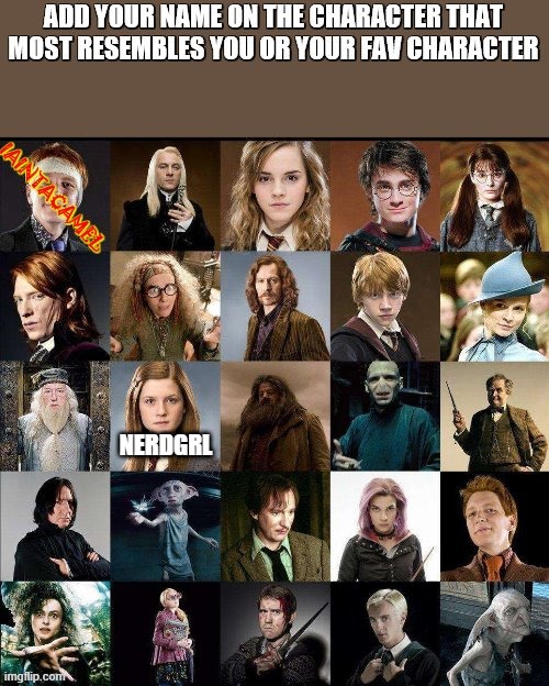 more trenddsss | NERDGRL | image tagged in memer,trends,harry potter,lol | made w/ Imgflip meme maker