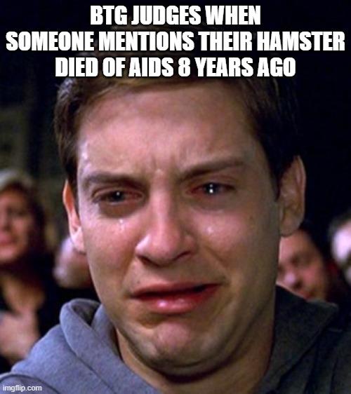 crying peter parker | BTG JUDGES WHEN SOMEONE MENTIONS THEIR HAMSTER DIED OF AIDS 8 YEARS AGO | image tagged in crying peter parker | made w/ Imgflip meme maker