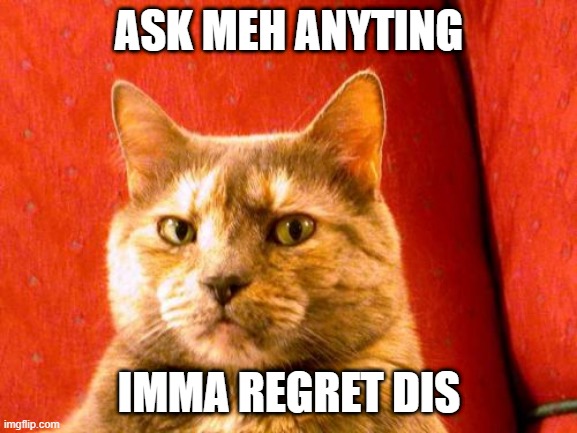 ASK ME ANYTHIIIINNNGGG!!!! WOOOOOO!!!! | ASK MEH ANYTING; IMMA REGRET DIS | image tagged in suspicious cat,question,answer,trends,instant regret,lmao | made w/ Imgflip meme maker