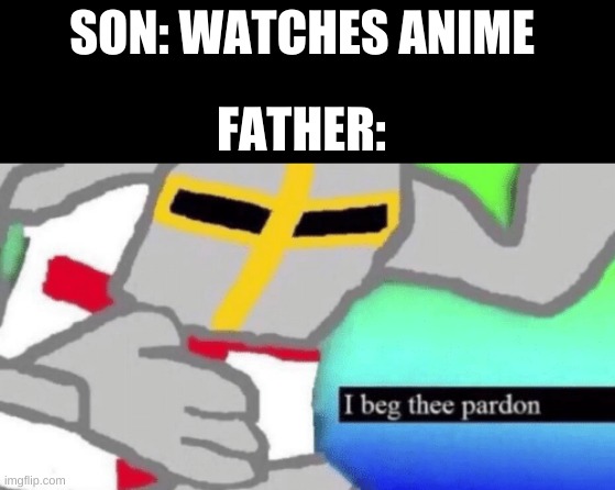 what | SON: WATCHES ANIME; FATHER: | image tagged in i beg thee pardon | made w/ Imgflip meme maker