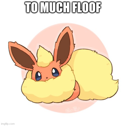 Too much floof | TO MUCH FLOOF | image tagged in too much floof | made w/ Imgflip meme maker