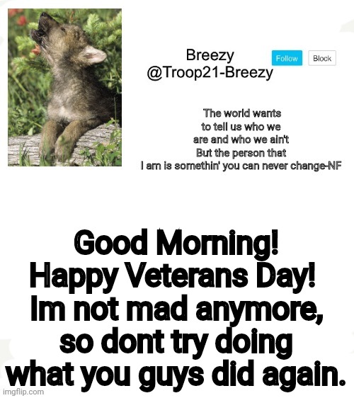 Trooper21-Breezy template | Good Morning! Happy Veterans Day! 
Im not mad anymore, so dont try doing what you guys did again. | image tagged in trooper21-breezy template | made w/ Imgflip meme maker