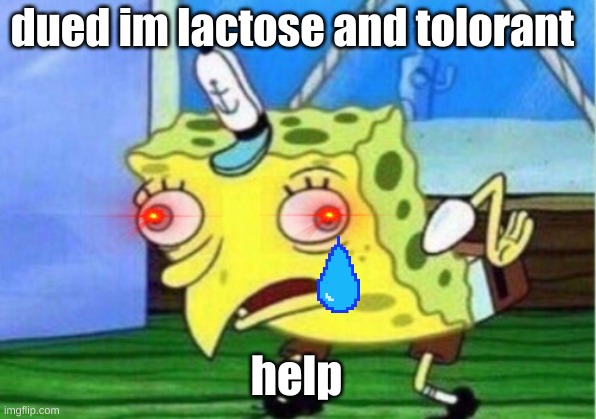 Mocking Spongebob Meme | dued im lactose and tolorant; help | image tagged in memes,mocking spongebob | made w/ Imgflip meme maker