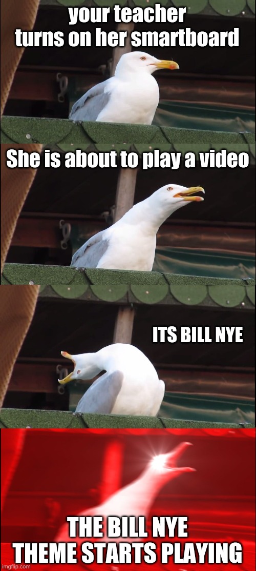 This is the truth about everything | your teacher turns on her smartboard; She is about to play a video; ITS BILL NYE; THE BILL NYE THEME STARTS PLAYING | image tagged in memes,inhaling seagull,bill nye the science guy | made w/ Imgflip meme maker