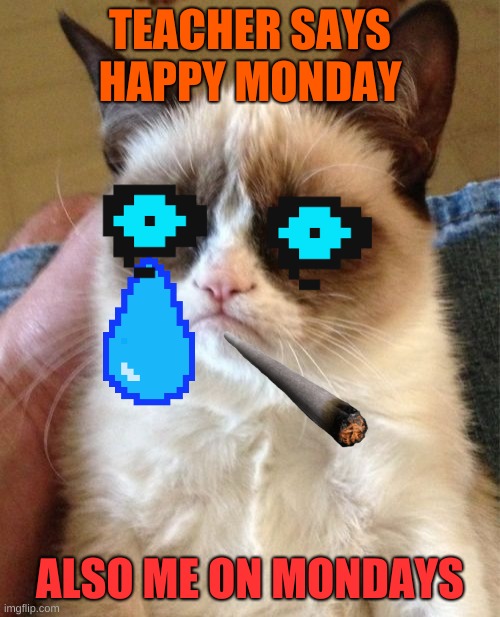 Grumpy Cat Meme | TEACHER SAYS HAPPY MONDAY; ALSO ME ON MONDAYS | image tagged in memes,grumpy cat | made w/ Imgflip meme maker