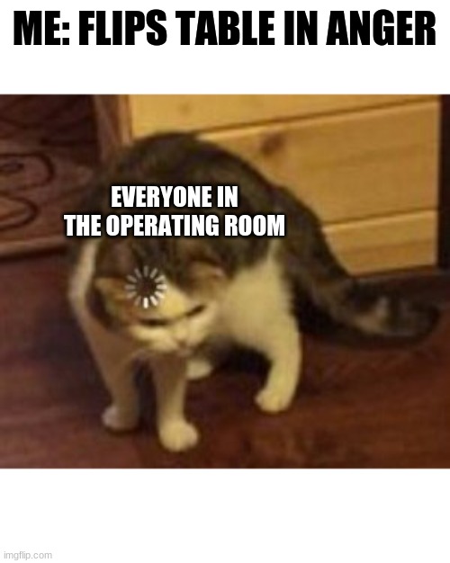 Loading cat | ME: FLIPS TABLE IN ANGER; EVERYONE IN THE OPERATING ROOM | image tagged in loading cat | made w/ Imgflip meme maker