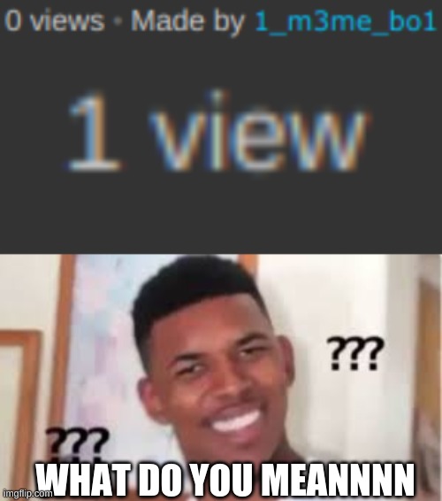views | WHAT DO YOU MEANNNN | image tagged in views,memes | made w/ Imgflip meme maker