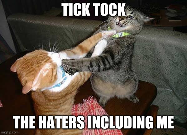 Two cats fighting for real | TICK TOCK; THE HATERS INCLUDING ME | image tagged in two cats fighting for real | made w/ Imgflip meme maker