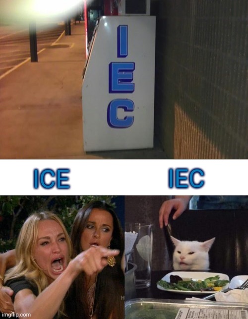 ICE spelled wrong | IEC; ICE | image tagged in memes,woman yelling at cat,ice,you had one job,reposts,repost | made w/ Imgflip meme maker