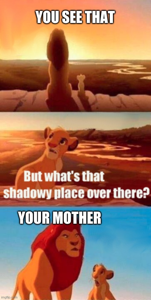 Simba Shadowy Place Meme | YOU SEE THAT; YOUR MOTHER | image tagged in memes,simba shadowy place | made w/ Imgflip meme maker