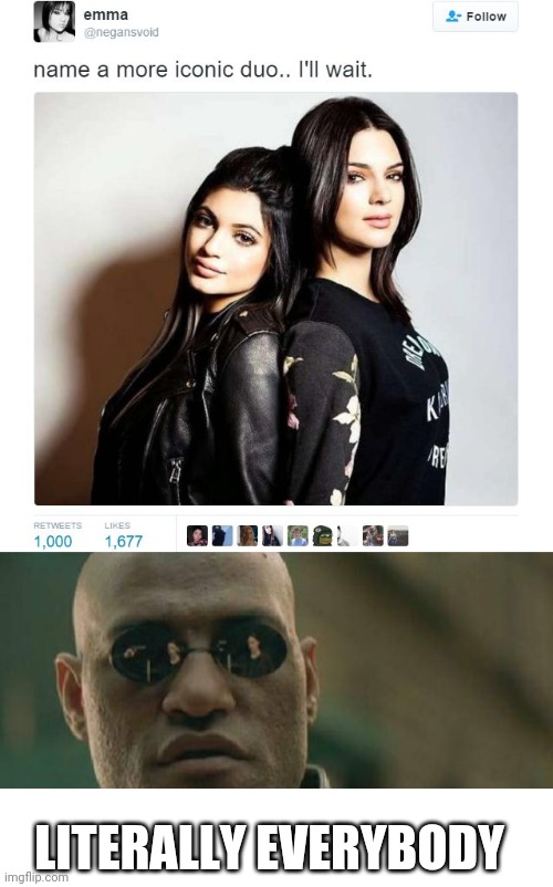 Everyone is more iconic | LITERALLY EVERYBODY | image tagged in name a more iconic duo,memes,matrix morpheus | made w/ Imgflip meme maker