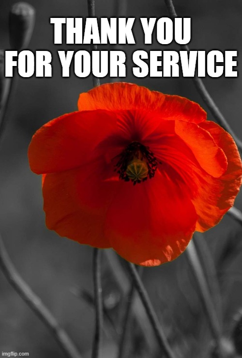 Thank you | THANK YOU FOR YOUR SERVICE | image tagged in poopy flower | made w/ Imgflip meme maker