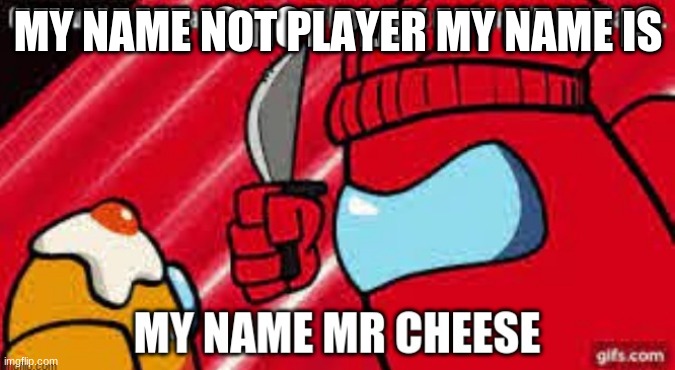 my name is mr cheese |  MY NAME NOT PLAYER MY NAME IS | image tagged in philosoraptor | made w/ Imgflip meme maker