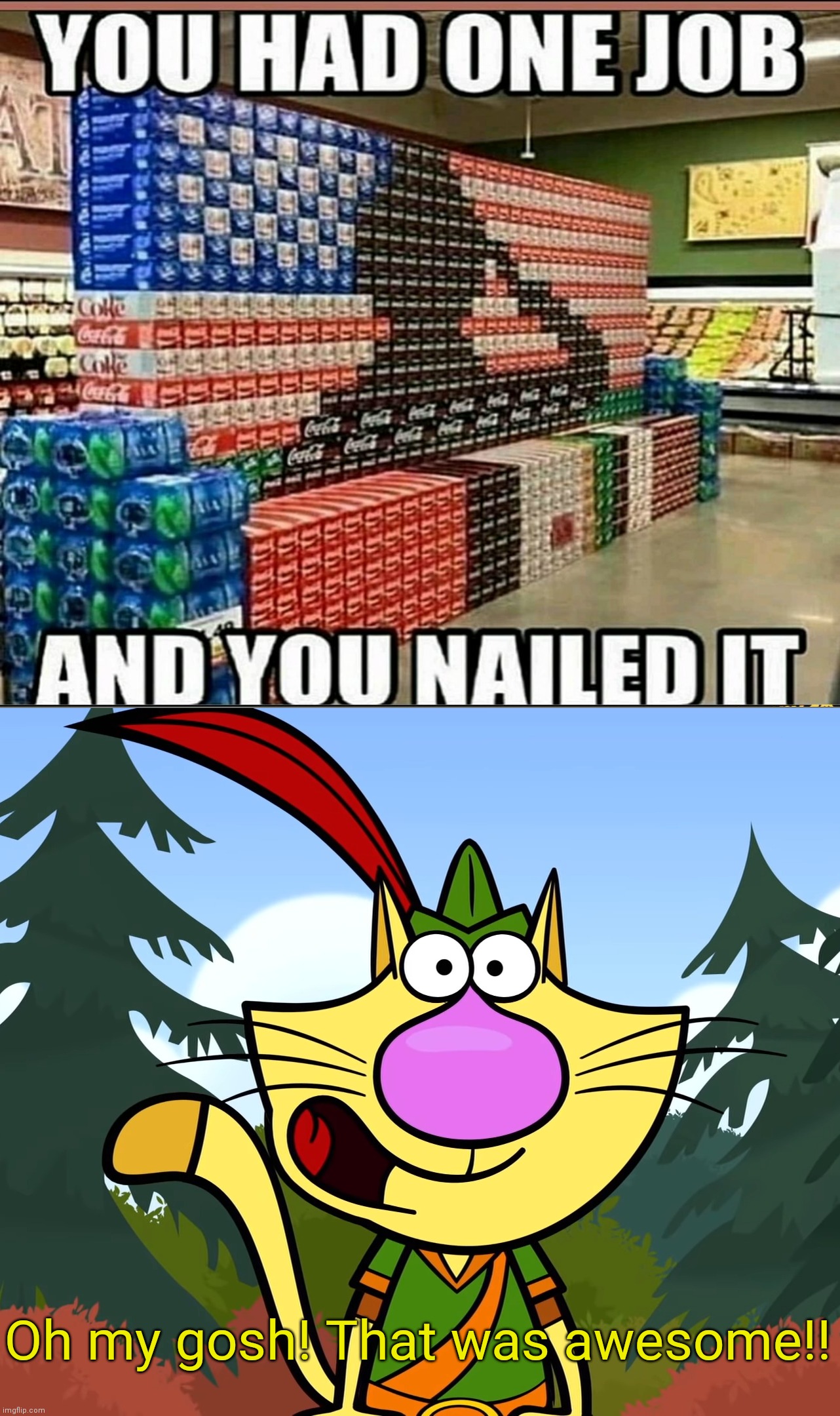 Veterans day Nailed the Job!!! |  Oh my gosh! That was awesome!! | image tagged in no way nature cat,funny,memes,veterans day,stop reading the tags,you had one job | made w/ Imgflip meme maker