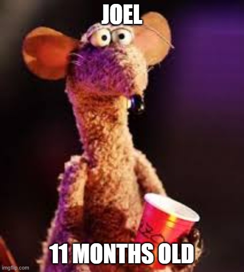 Rizo | JOEL; 11 MONTHS OLD | image tagged in muppets,rizzo the rat | made w/ Imgflip meme maker