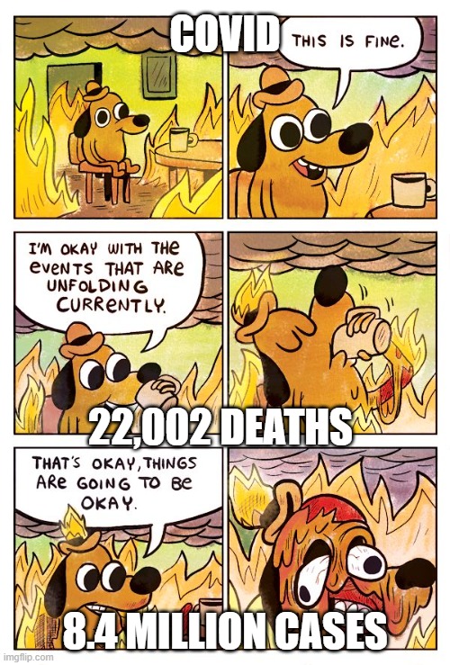 This is Fine Dog | COVID; 22,002 DEATHS; 8.4 MILLION CASES | image tagged in this is fine dog | made w/ Imgflip meme maker