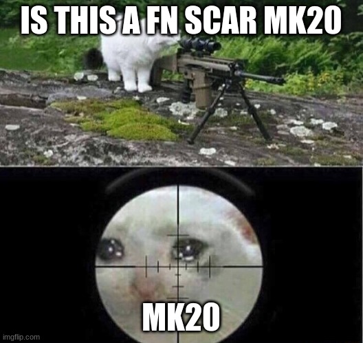 the mk20 | IS THIS A FN SCAR MK20; MK20 | image tagged in sniper cat | made w/ Imgflip meme maker