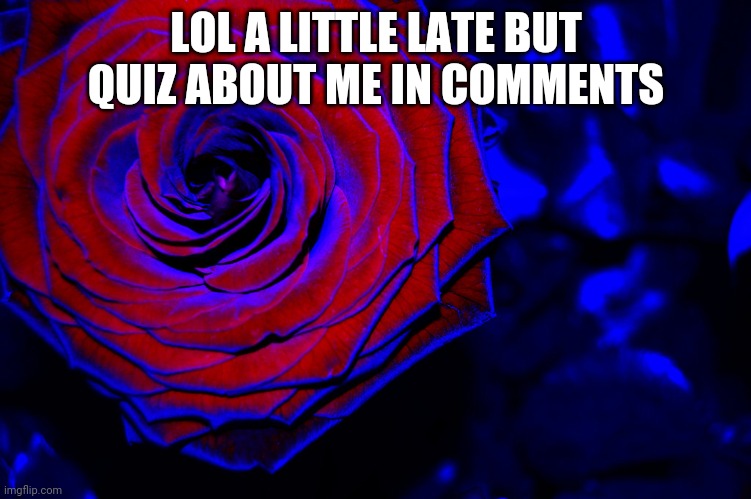 roses are red, violets are blue, | LOL A LITTLE LATE BUT QUIZ ABOUT ME IN COMMENTS | image tagged in roses are red violets are blue | made w/ Imgflip meme maker