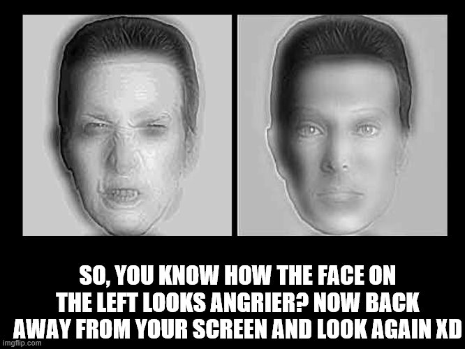 coooooooool illlusion! | SO, YOU KNOW HOW THE FACE ON THE LEFT LOOKS ANGRIER? NOW BACK AWAY FROM YOUR SCREEN AND LOOK AGAIN XD | made w/ Imgflip meme maker
