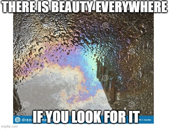 Beauty everywhere | THERE IS BEAUTY EVERYWHERE; IF YOU LOOK FOR IT | image tagged in uplifting,inspiring | made w/ Imgflip meme maker