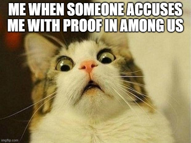 Scared Cat | ME WHEN SOMEONE ACCUSES ME WITH PROOF IN AMONG US | image tagged in memes,scared cat | made w/ Imgflip meme maker