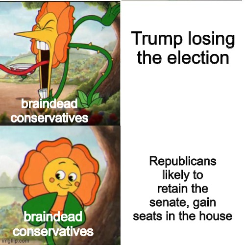 If democrats were really cheating, why tf, would they stop at the presidency alone? Why not a supermajority? | Trump losing the election; Republicans likely to retain the senate, gain seats in the house; braindead conservatives; braindead conservatives | image tagged in cuphead flower,senate,house,conservative stupidity,voter fraud,2020 election | made w/ Imgflip meme maker