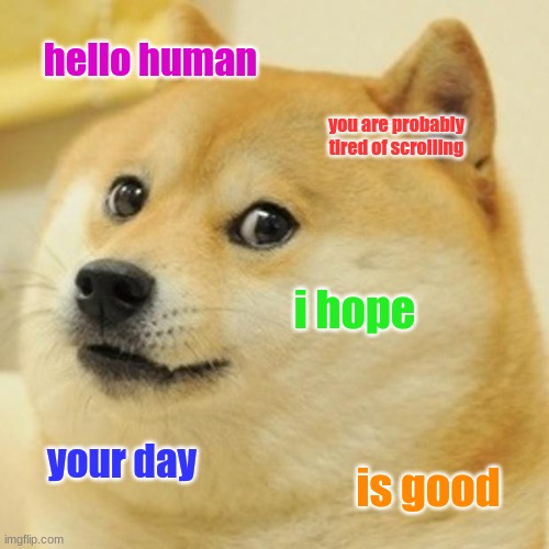 doge | hello human; you are probably tired of scrolling; i hope; your day; is good | image tagged in memes,doge | made w/ Imgflip meme maker