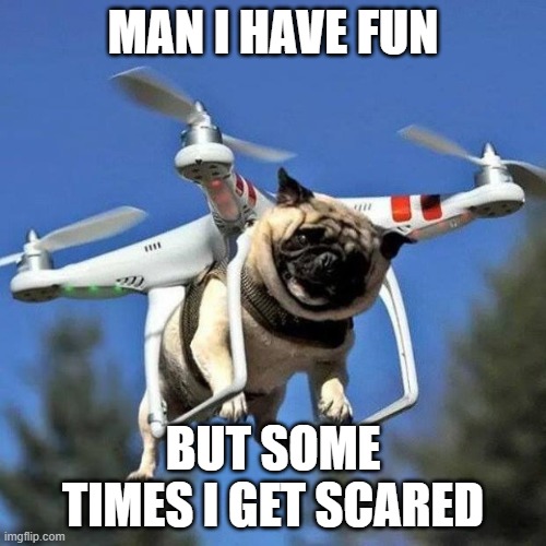 Flying Pug | MAN I HAVE FUN; BUT SOME TIMES I GET SCARED | image tagged in flying pug | made w/ Imgflip meme maker