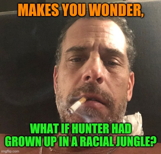 Maybe he wouldn't be as corrupt as his father. | MAKES YOU WONDER, WHAT IF HUNTER HAD GROWN UP IN A RACIAL JUNGLE? | image tagged in hunter biden | made w/ Imgflip meme maker