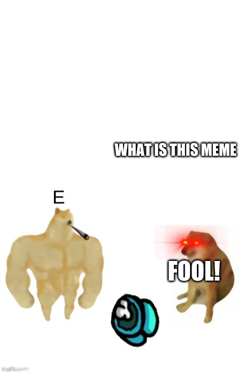 WHAT IS THIS MEME; FOOL! | image tagged in blank white template,buff doge vs cheems | made w/ Imgflip meme maker