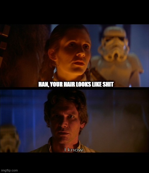 Really? Right Before He's Frozen Huh | HAN, YOUR HAIR LOOKS LIKE SHIT | image tagged in star wars love | made w/ Imgflip meme maker