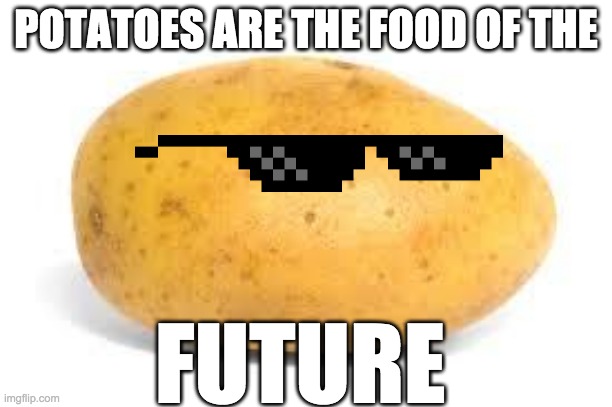 Potato | POTATOES ARE THE FOOD OF THE; FUTURE | image tagged in potato | made w/ Imgflip meme maker