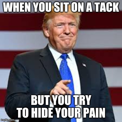 The tac | WHEN YOU SIT ON A TACK; BUT YOU TRY TO HIDE YOUR PAIN | image tagged in donald trump,hide the pain harold | made w/ Imgflip meme maker