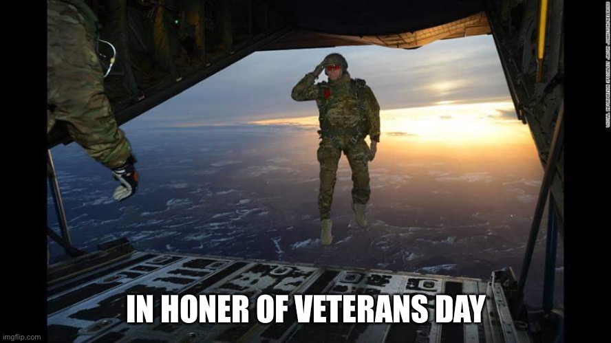 Military Skydive Solute | IN HONER OF VETERANS DAY | image tagged in military skydive solute | made w/ Imgflip meme maker
