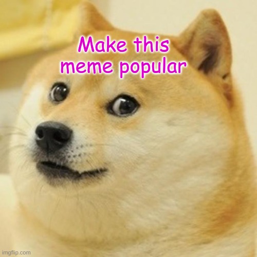 Doggo boy want you to make him famous | Make this meme popular | image tagged in memes,doge | made w/ Imgflip meme maker