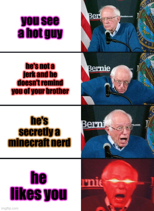 hot nerd? | you see a hot guy; he's not a jerk and he doesn't remind you of your brother; he's secretly a minecraft nerd; he likes you | image tagged in bernie sanders reaction nuked | made w/ Imgflip meme maker