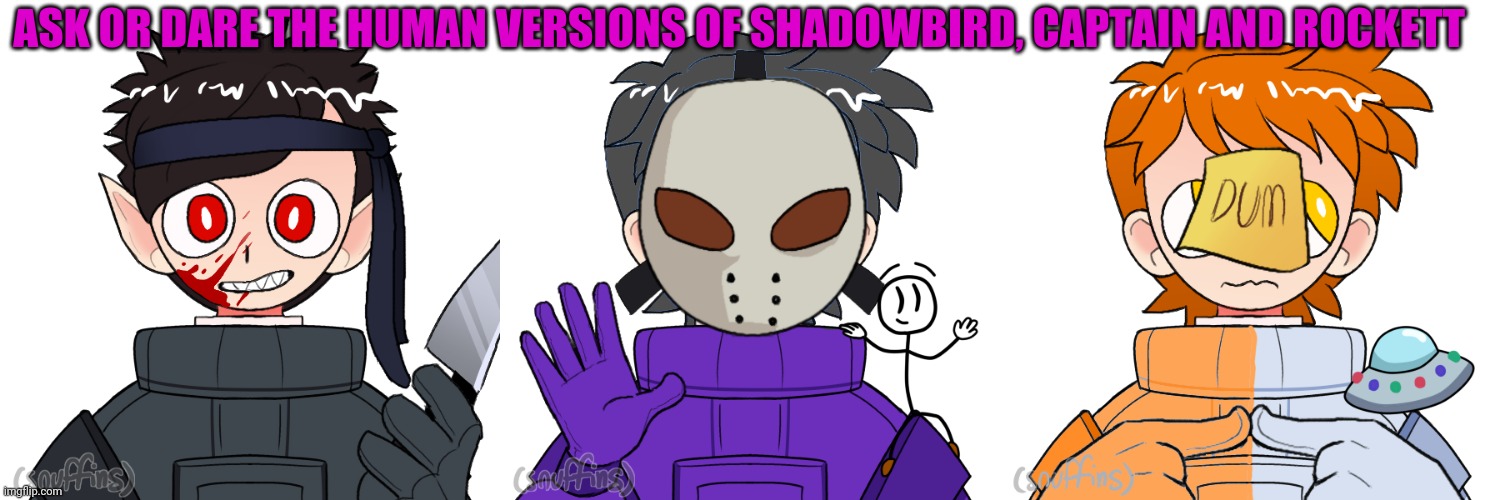 Art isn't mine. | ASK OR DARE THE HUMAN VERSIONS OF SHADOWBIRD, CAPTAIN AND ROCKETT | made w/ Imgflip meme maker