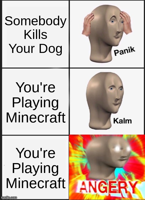 Panik Kalm Panik Meme | Somebody Kills Your Dog; You're Playing Minecraft; You're Playing Minecraft | image tagged in memes,panik kalm panik | made w/ Imgflip meme maker