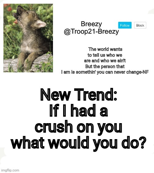Trooper21-Breezy template | New Trend: If I had a crush on you what would you do? | image tagged in trooper21-breezy template | made w/ Imgflip meme maker